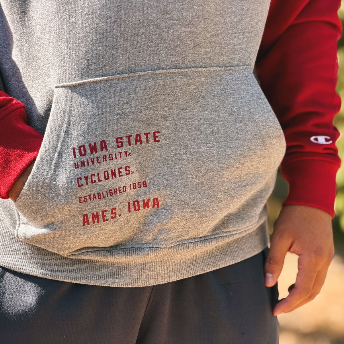 Champion® Iowa State Walking Cy Gray Colorblock Hoodie